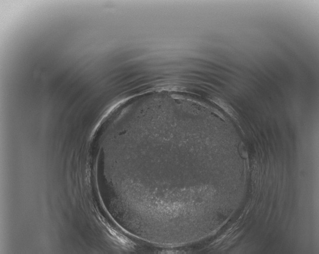 X0000060261115200511041342