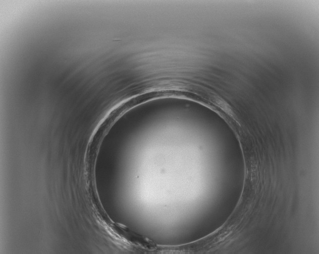 X0000060261116200511041342