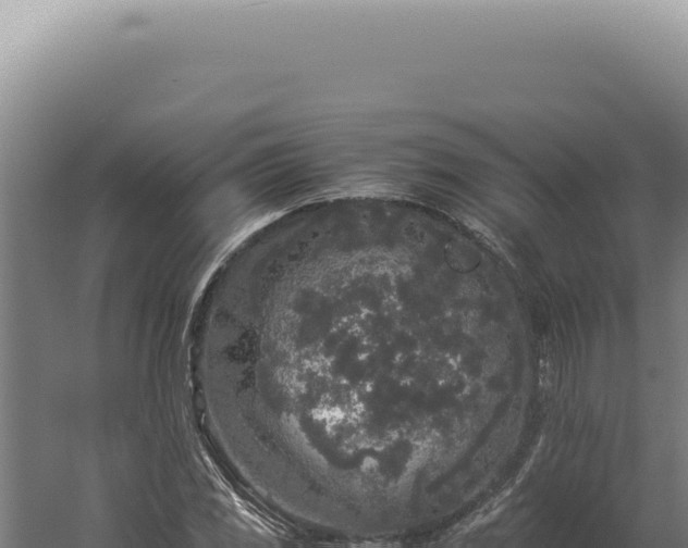 X0000060261117200511041342