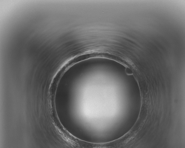 X0000060261118200511041342