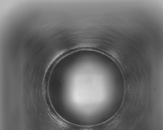 X0000060261119200511041342