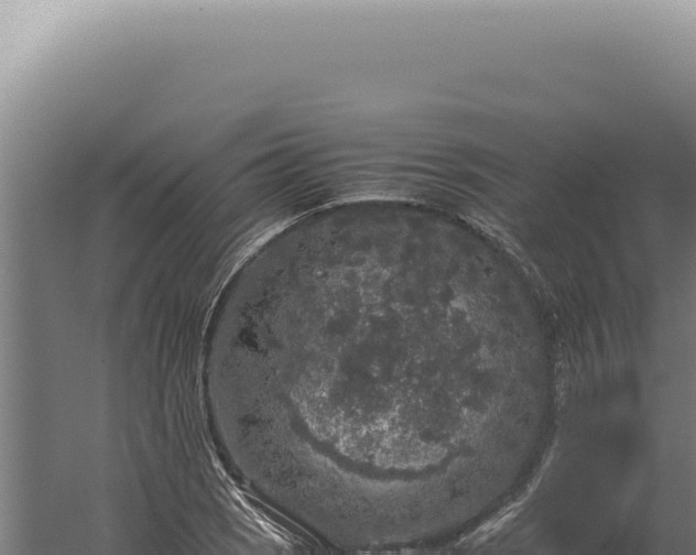 X0000060261121200511041342