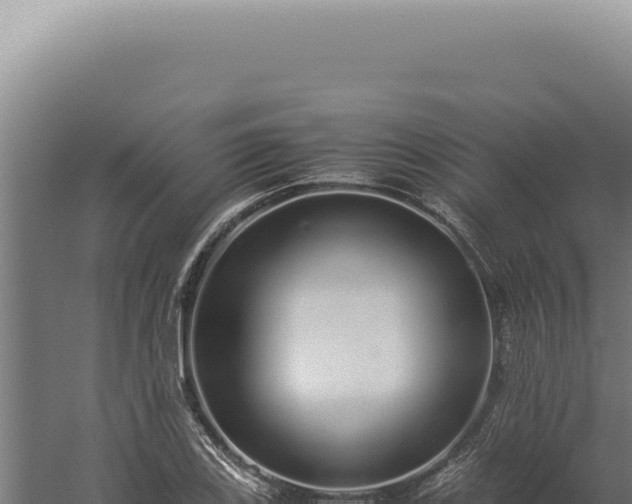 X0000060261123200511041342