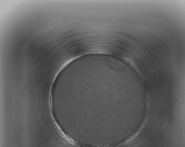 X0000060261125200511041342