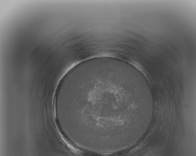 X0000060261127200511041342