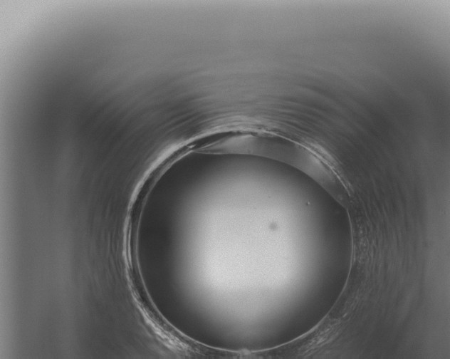 X0000060261128200511041342