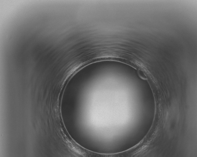 X0000060261129200511041342