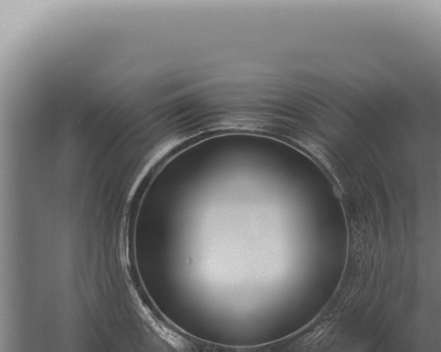 X0000060261131200511041342