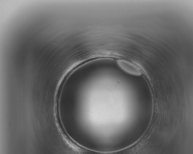 X0000060261136200511041342