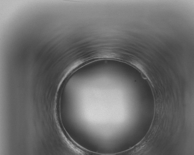 X0000060261139200511041342