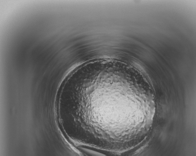 X0000060261141200511041342