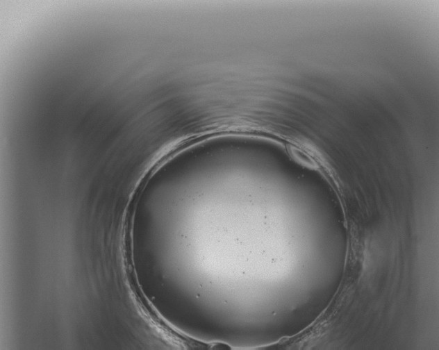 X0000060261142200511041342