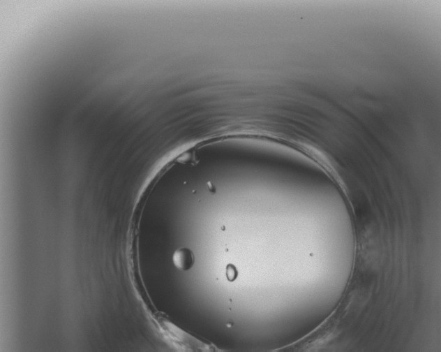 X0000060261149200511041342