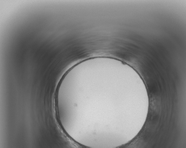 X0000060261150200511041342