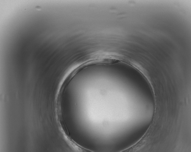 X0000060261152200511041343