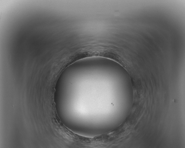 X0000060261153200511041342