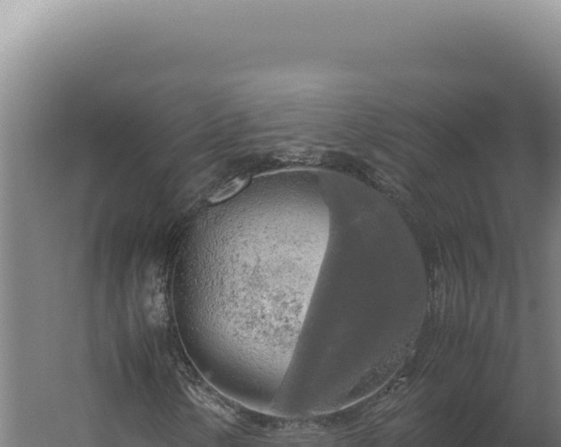 X0000060261154200511041342