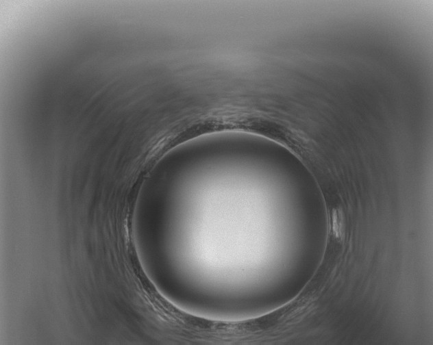 X0000060261155200511041342