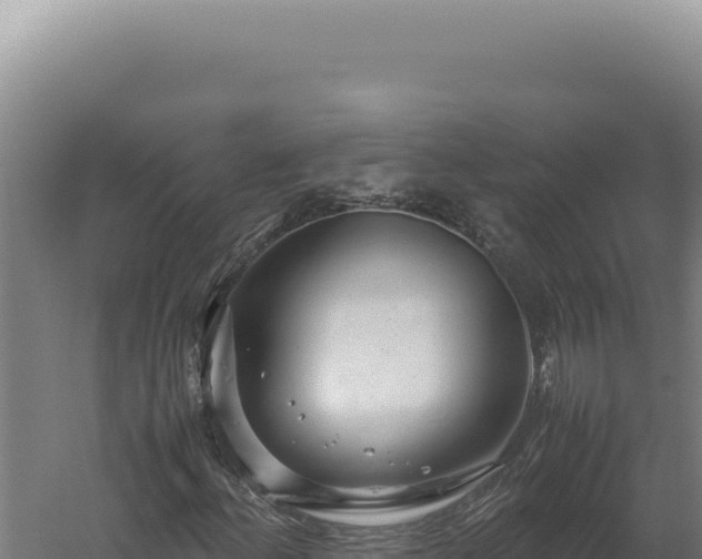 X0000060261156200511041342