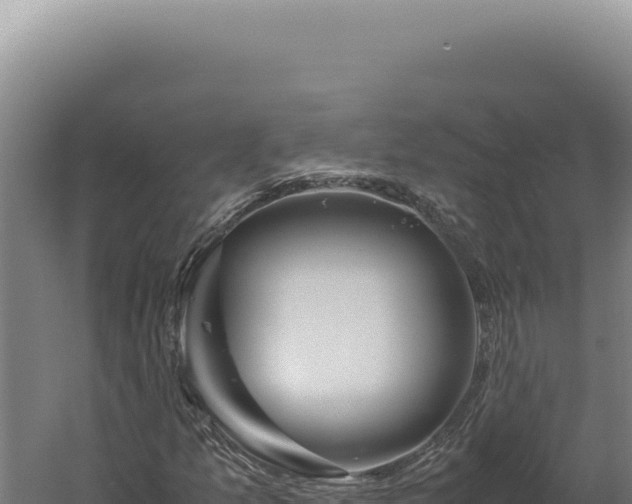 X0000060261157200511041342