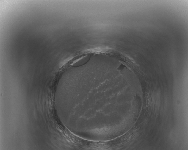 X0000060261158200511041342