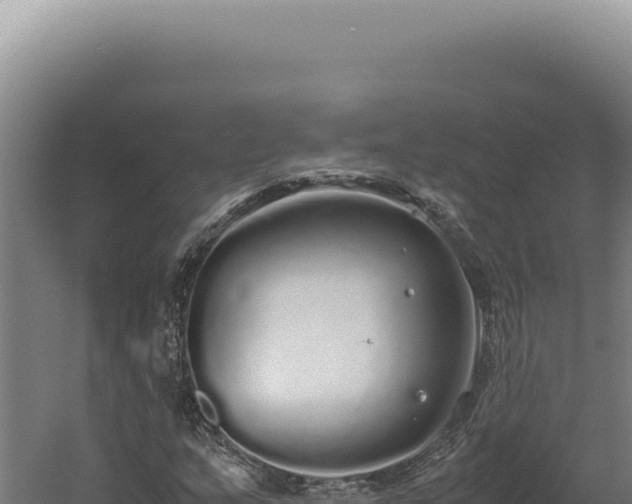 X0000060261159200511041342