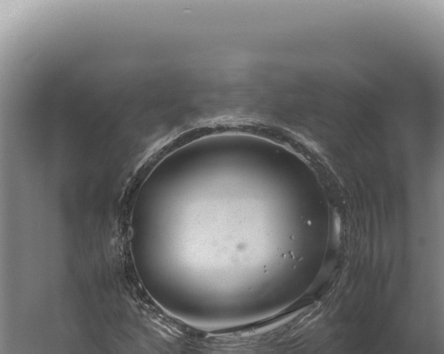 X0000060261160200511041342