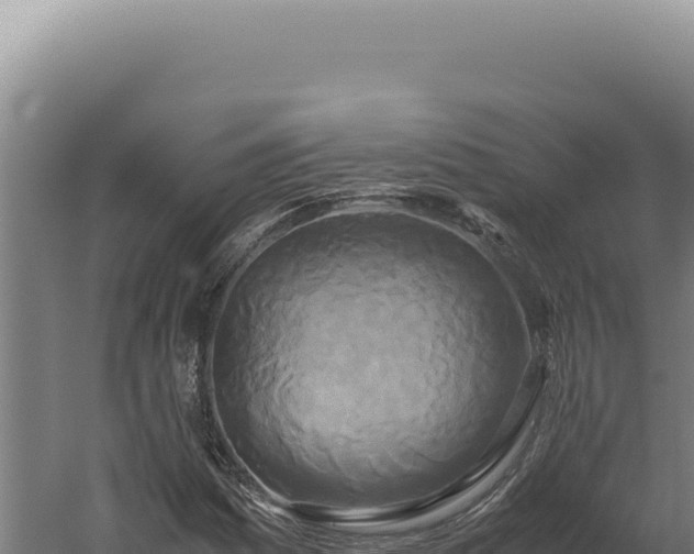 X0000060261161200511041342