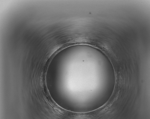 X0000060261162200511041342