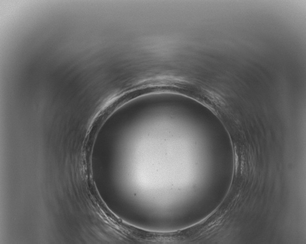 X0000060261164200511041342