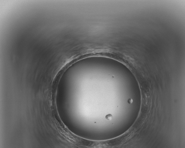 X0000060261165200511041341