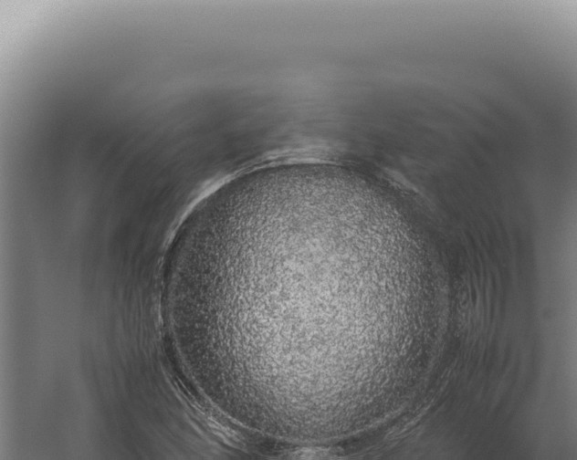 X0000060261166200511041341