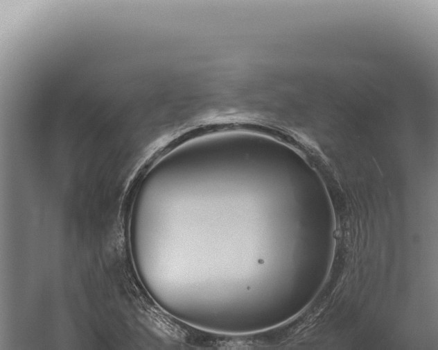 X0000060261167200511041341