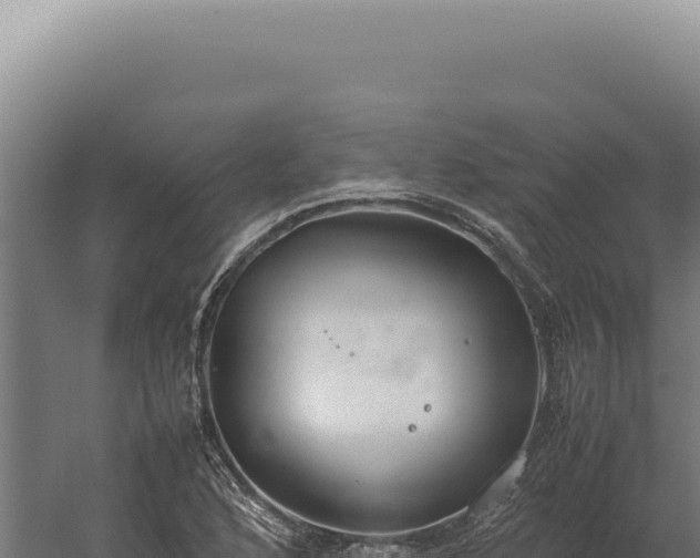 X0000060261168200511041341