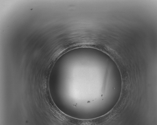 X0000060261169200511041341