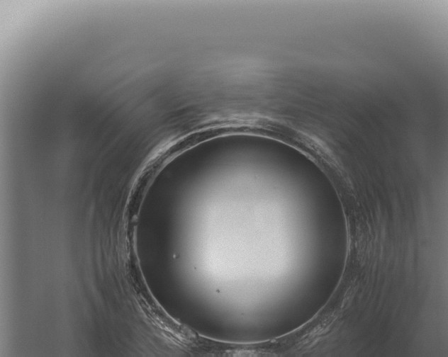 X0000060261172200511041341