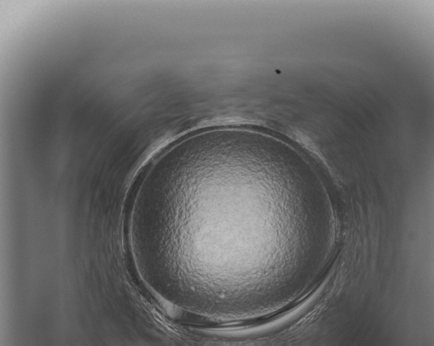 X0000060261173200511041341