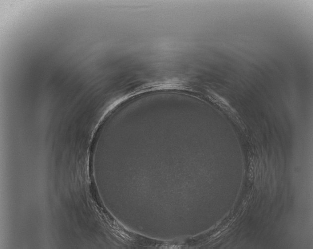 X0000060261174200511041341