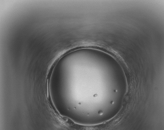 X0000060261175200511041341