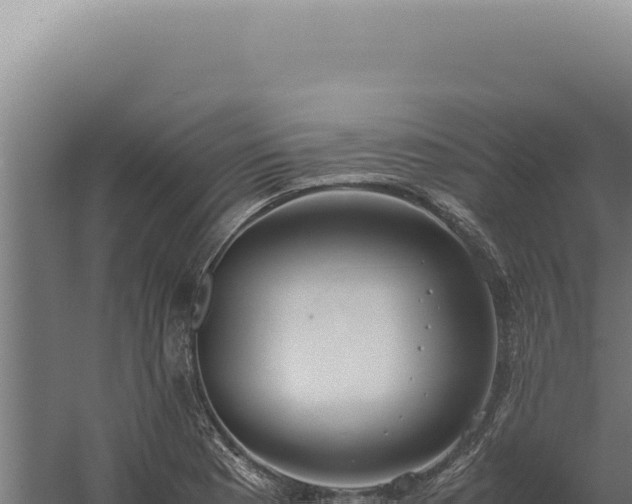 X0000060261177200511041341