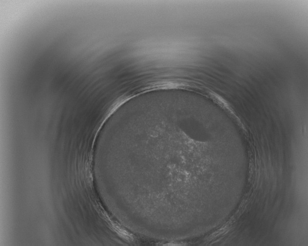 X0000060261178200511041341