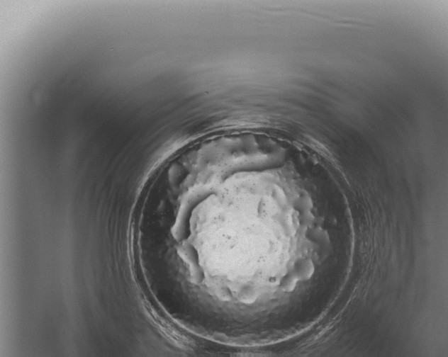 X0000060261179200511041341