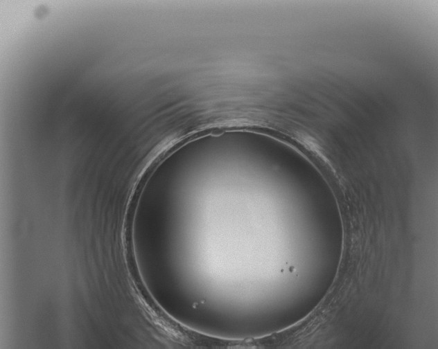 X0000060261181200511041341