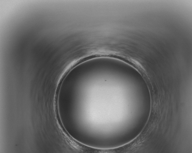 X0000060261183200511041341