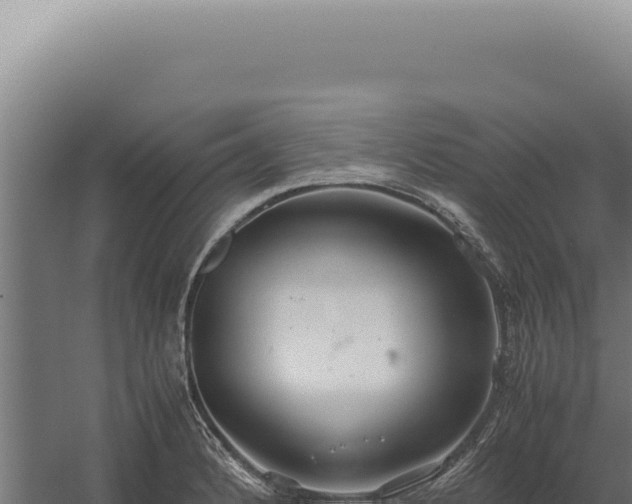 X0000060261184200511041341