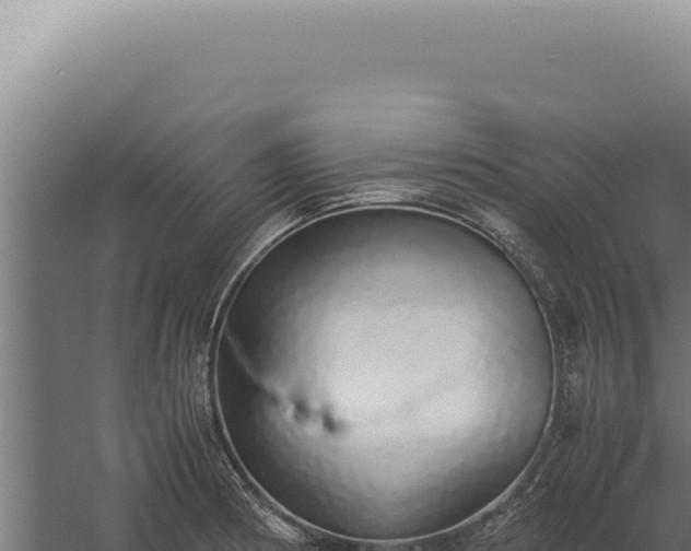 X0000060261186200511041341