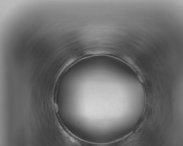 X0000060261189200511041341