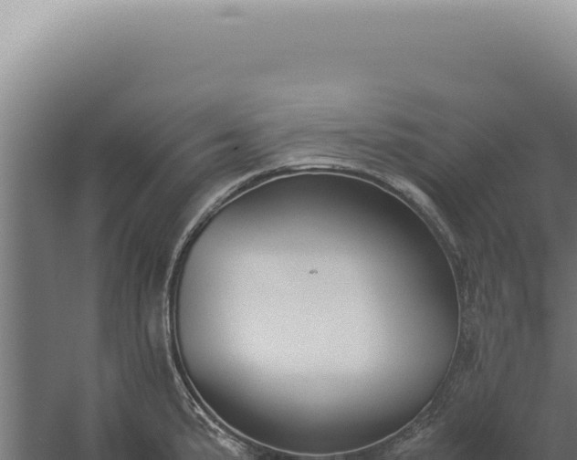 X0000060261191200511041341