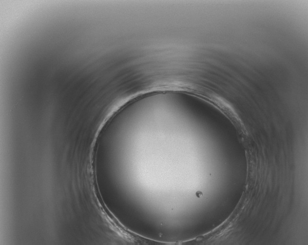 X0000060261192200511041341