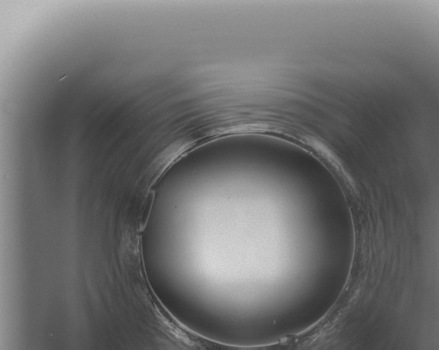 X0000060261193200511041341